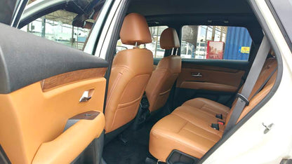 2017 Kia KX7 2.0T 2WD GLS 7-seater automatic