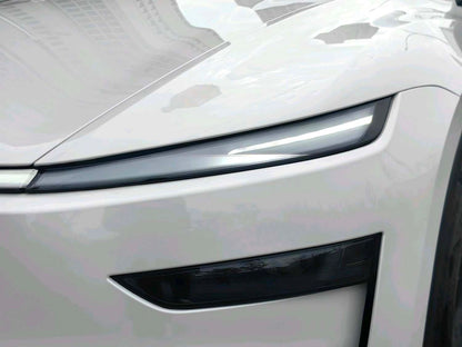 Tesla 2025 Model Y Rear-Wheel Drive Automatic
