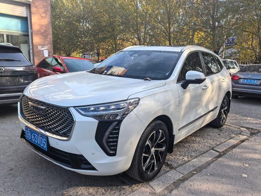 2021 Haval First Love 1.5T Automatic Premium Max Trim