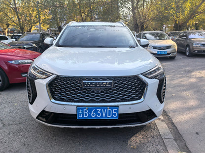 2021 Haval First Love 1.5T Automatic Premium Max Trim