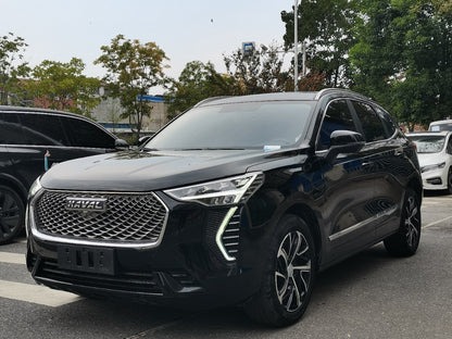 Haval First Love 2021 1.5T Automatic Big Three Edition