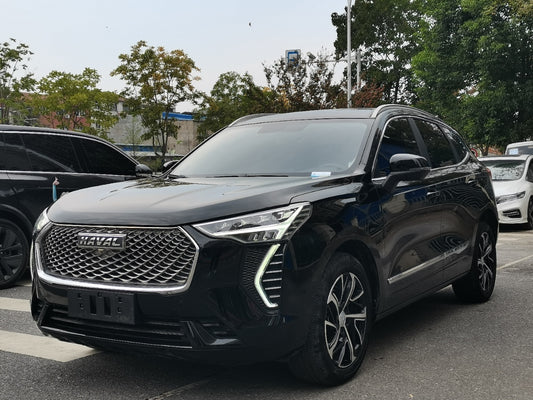 Haval First Love 2021 1.5T Automatic Big Three Edition