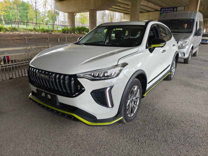 Haval Red Rabbit 2022 Ultimate Edition 1.5T Purple Copper Rabbit