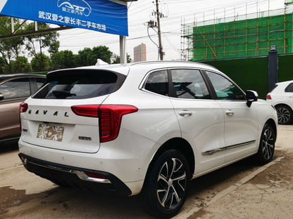 Haval Chulian 2021 вид сзади