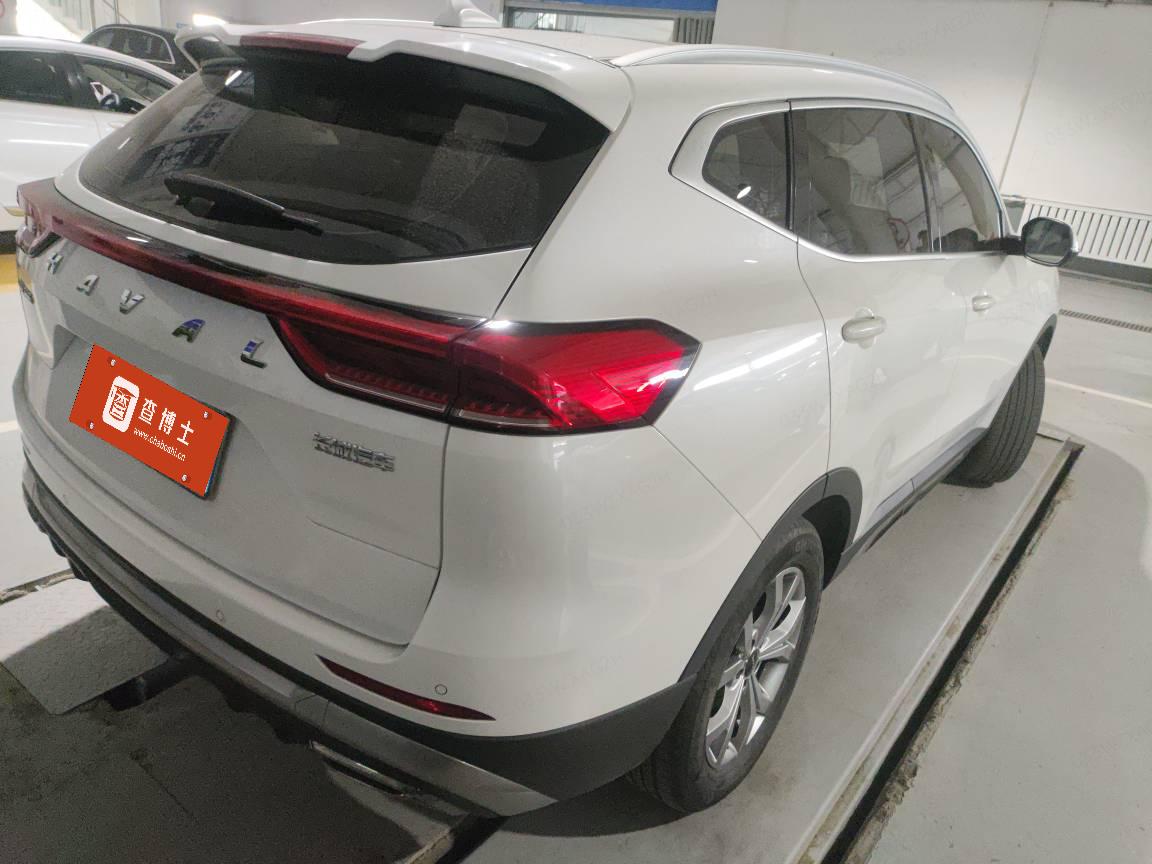 Haval H6 2021 вид сзади
