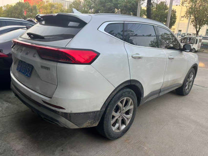 Haval H6 2021 вид сзади