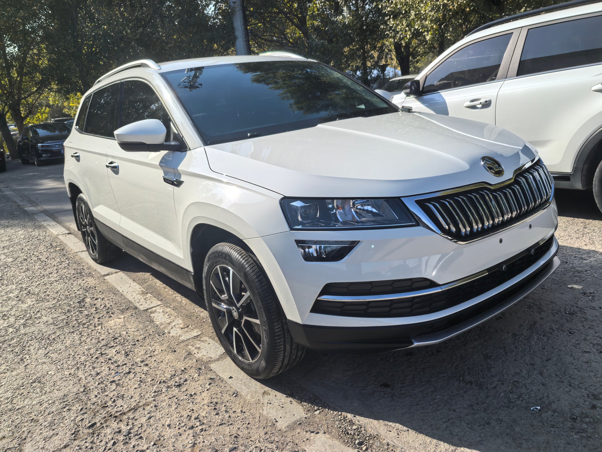 Боковой вид Skoda Karoq 2021