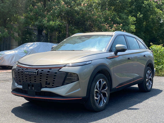 Боковой вид Haval Shenshou 2022