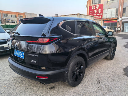 Honda CR-V, вид сзади