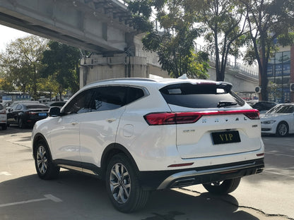 Задний вид Haval H6 2021