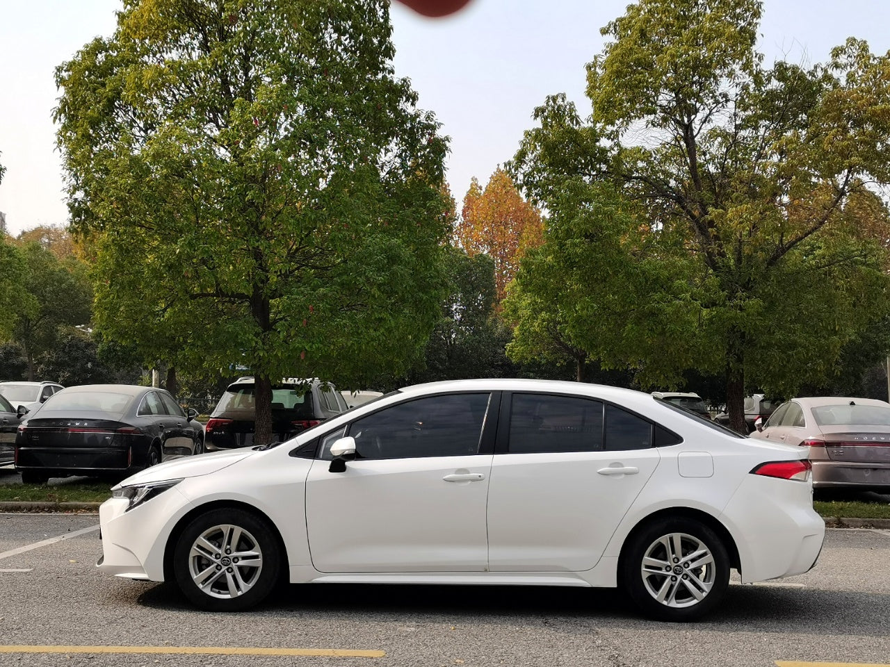 Corolla 2021 передняя часть