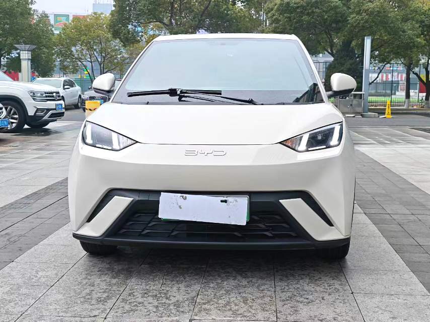 BYD 2023 Seagull Freedom Edition Automatic