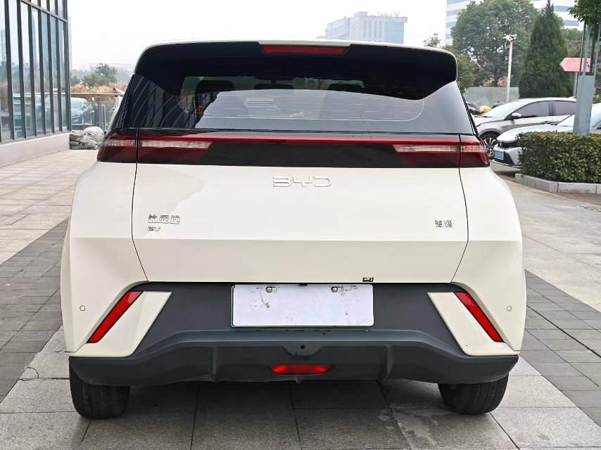 BYD 2023 Seagull Freedom Edition Automatic