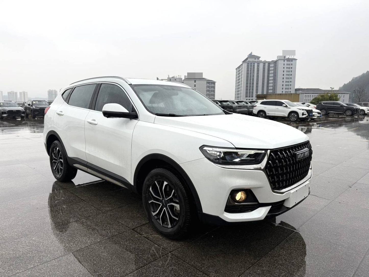 Haval 2023 H6 1.5T National Trend Edition Urban Edition Automatic