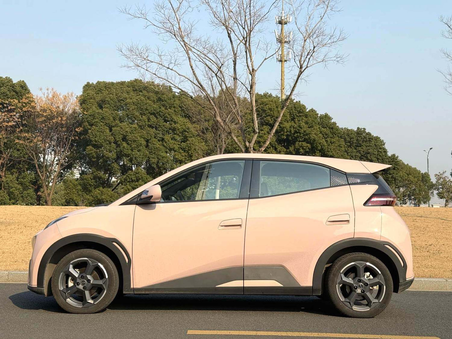 比亚迪 2023款 海鸥 自由版 自动挡