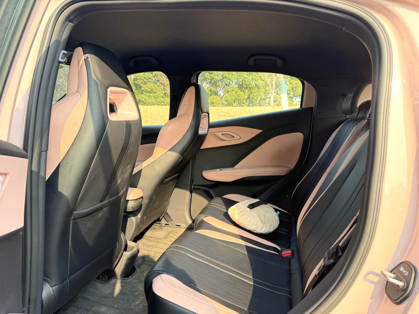 比亚迪 2023款 海鸥 自由版 自动挡