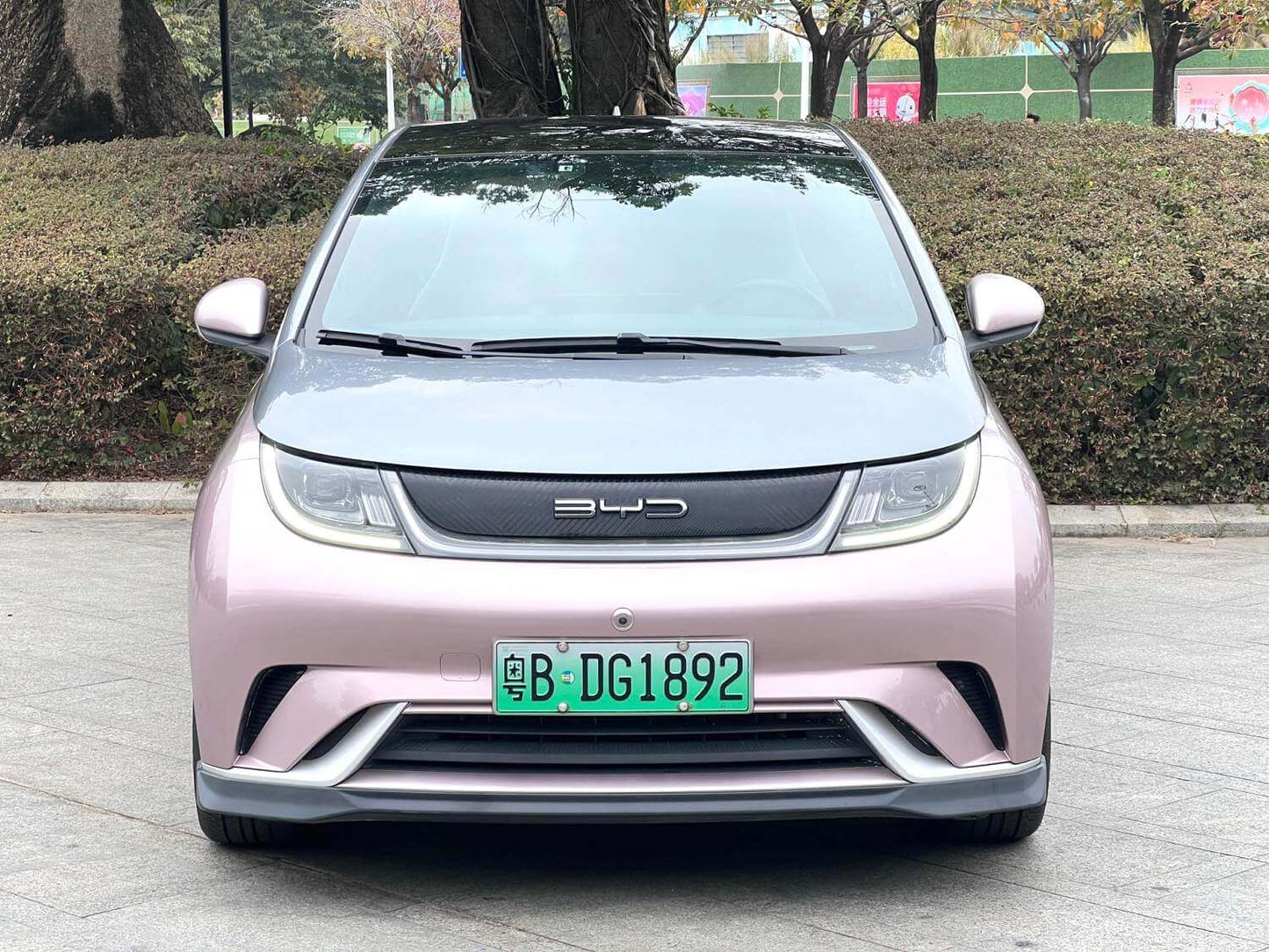 比亚迪 2021款 海豚 401km 骑士版 自动挡