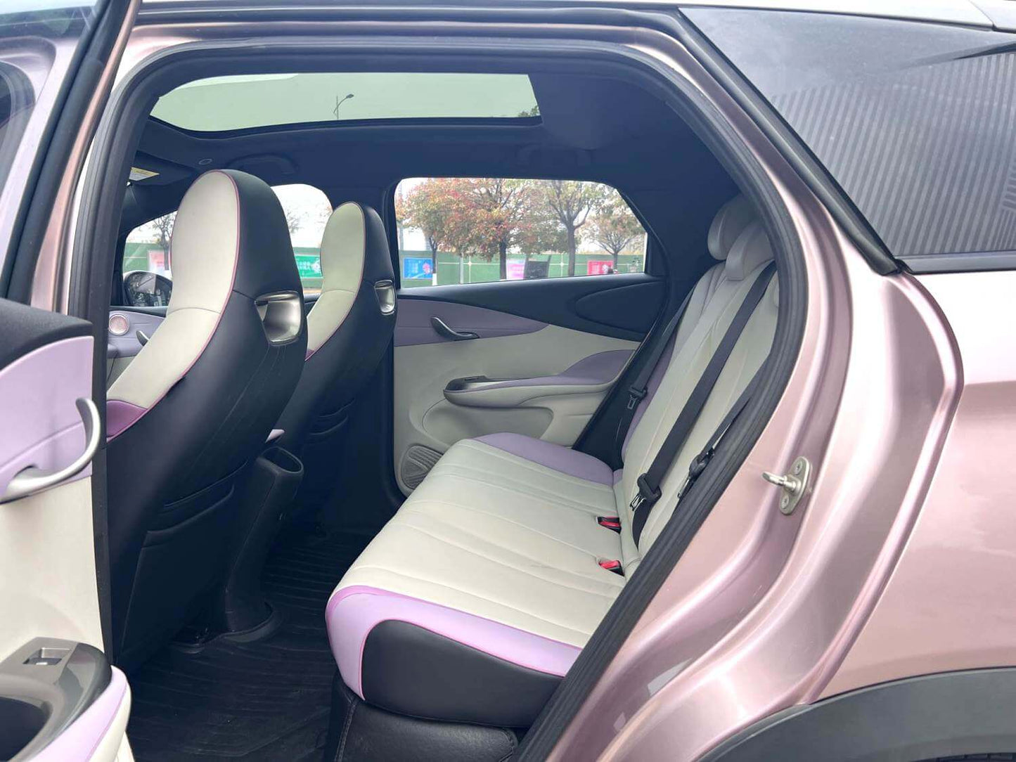 比亚迪 2021款 海豚 401km 骑士版 自动挡