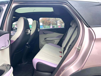 比亚迪 2021款 海豚 401km 骑士版 自动挡