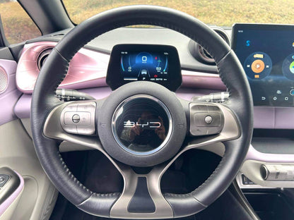 比亚迪 2021款 海豚 401km 骑士版 自动挡