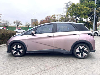 比亚迪 2021款 海豚 401km 骑士版 自动挡