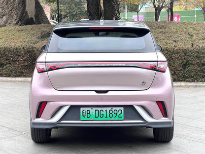 比亚迪 2021款 海豚 401km 骑士版 自动挡