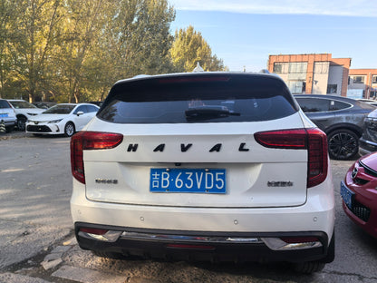 2021 Haval First Love 1.5T Automatic Premium Max Trim