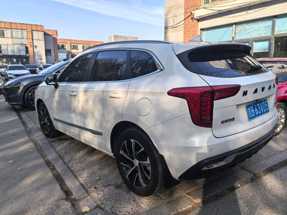 2021 Haval First Love 1.5T Automatic Premium Max Trim